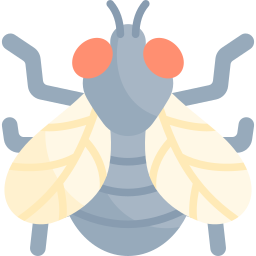 Fly icon