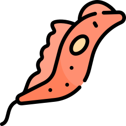 Трипаносома иконка