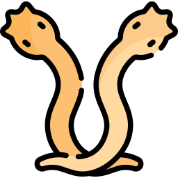 haakwormen icoon