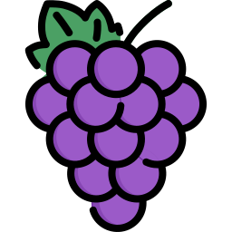 owoc winogronowy ikona