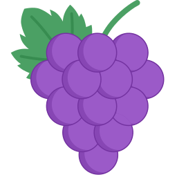 Grape fruit icon