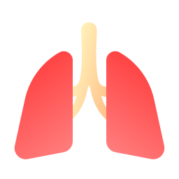 pulmones icono