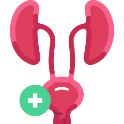 泌尿器科 icon
