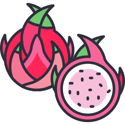 Dragon fruit icon