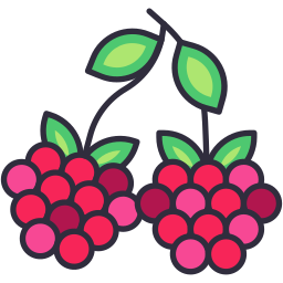 Raspberry icon