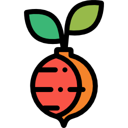 Radish icon