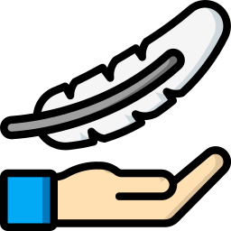 Feather icon