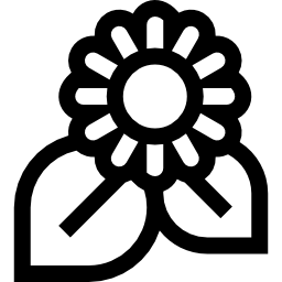 해바라기 icon