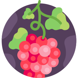 Grapes icon