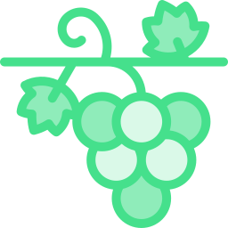 Grapes icon