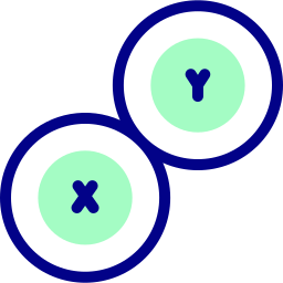 chromosome Icône