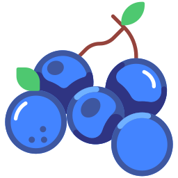 Blueberry icon