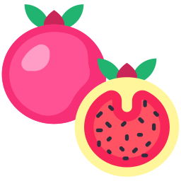 Pomegranate icon