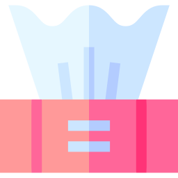 Tissue box icon