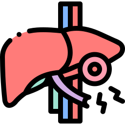 Liver icon