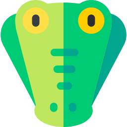 krokodil icoon