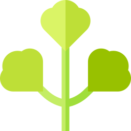 Parsley icon