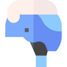 Helmet icon