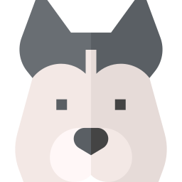 husky icona