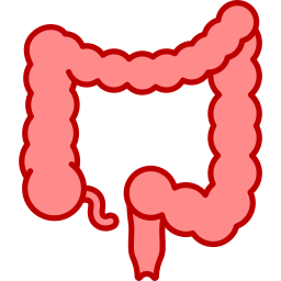 Intestines icon