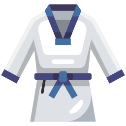 taekwondo icoon