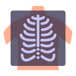 X rays icon