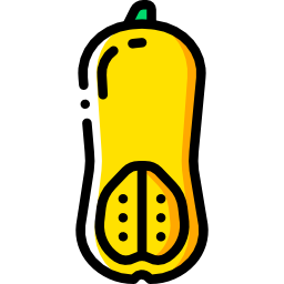 Butternut squash icon