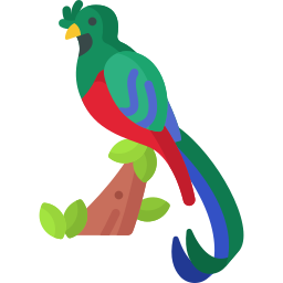 Resplendent quetzal icon