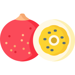 Red passion fruit icon