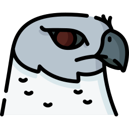 Harpy eagle icon