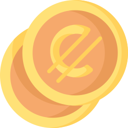 Currency icon