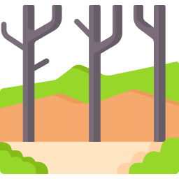 monteverde icoon