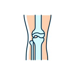 articulación de la rodilla icono