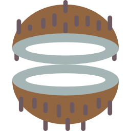 Coconut icon