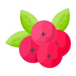 beeren icon