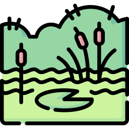 Swamp icon