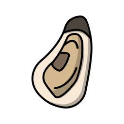 Shell icon