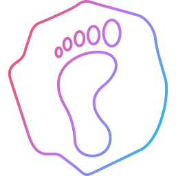 Footprint icon