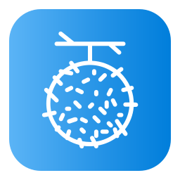 rambutan icon