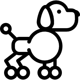 barboncino icona