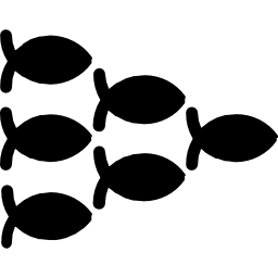 Shoal icon
