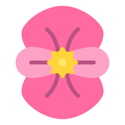 begonia icono