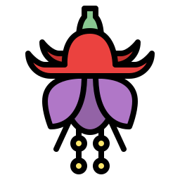 Fuchsia icon