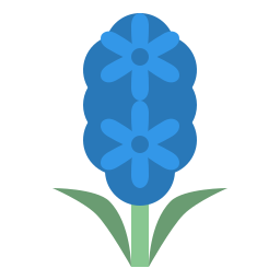 Hyacinth icon
