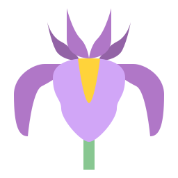 iris icoon