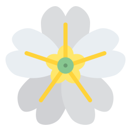 앵초 icon