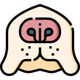 犬の鼻 icon