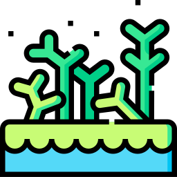 alghe icona