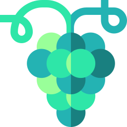 Grapes icon