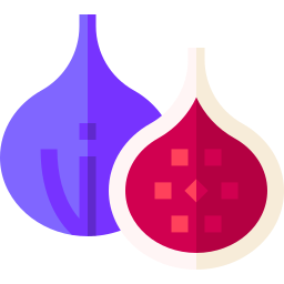 Fig icon